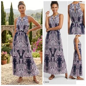 Banana Republic Paisley Printed Maxi Dress Size 2